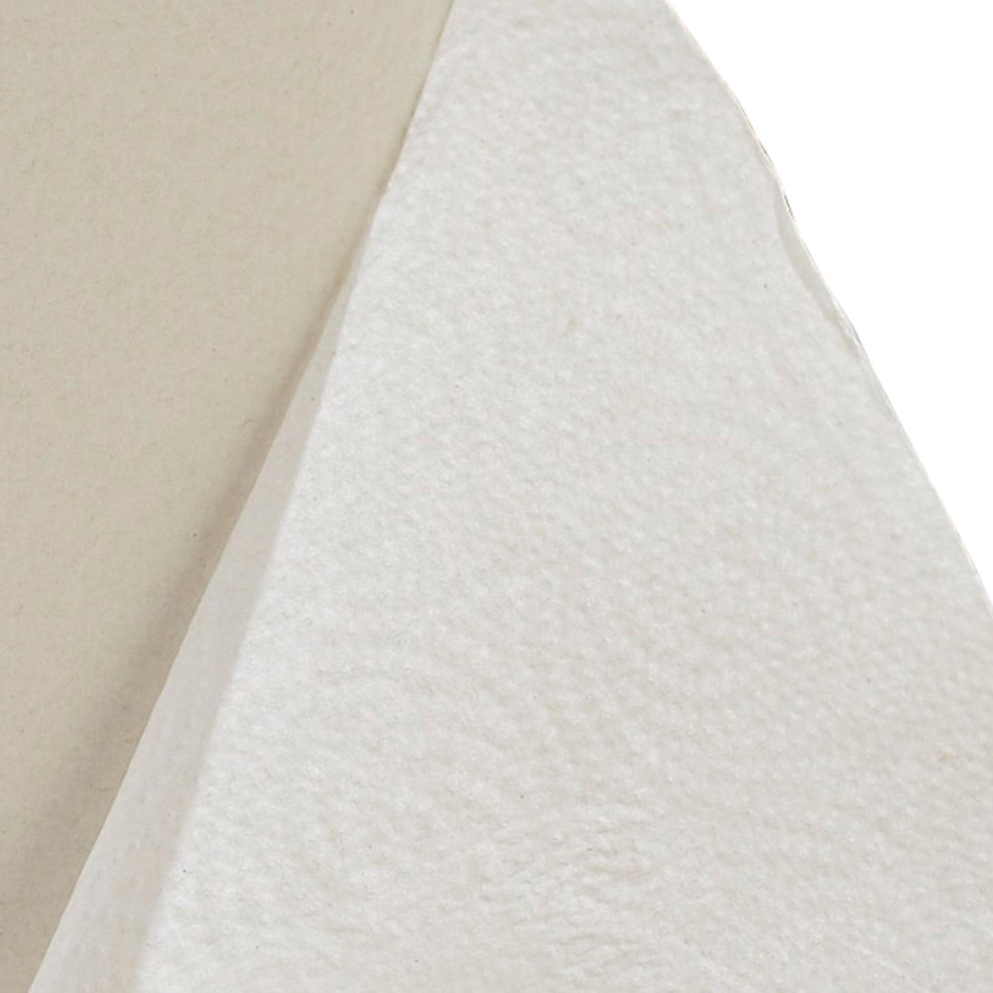 Pacific Blue Select™ Kitchen Paper Towel, 12 per Case