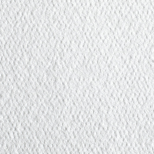 WIPER, PT CARE GP PRO PACIFIC WHT DISP 1/4" (55/PK 24PK/CS)