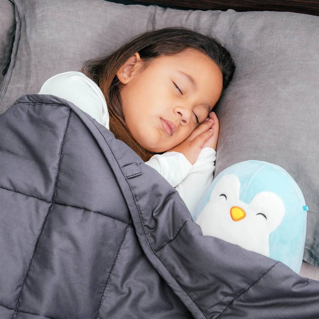 Bed Buddy Weighted Blanket 80" x 60" 17 lb