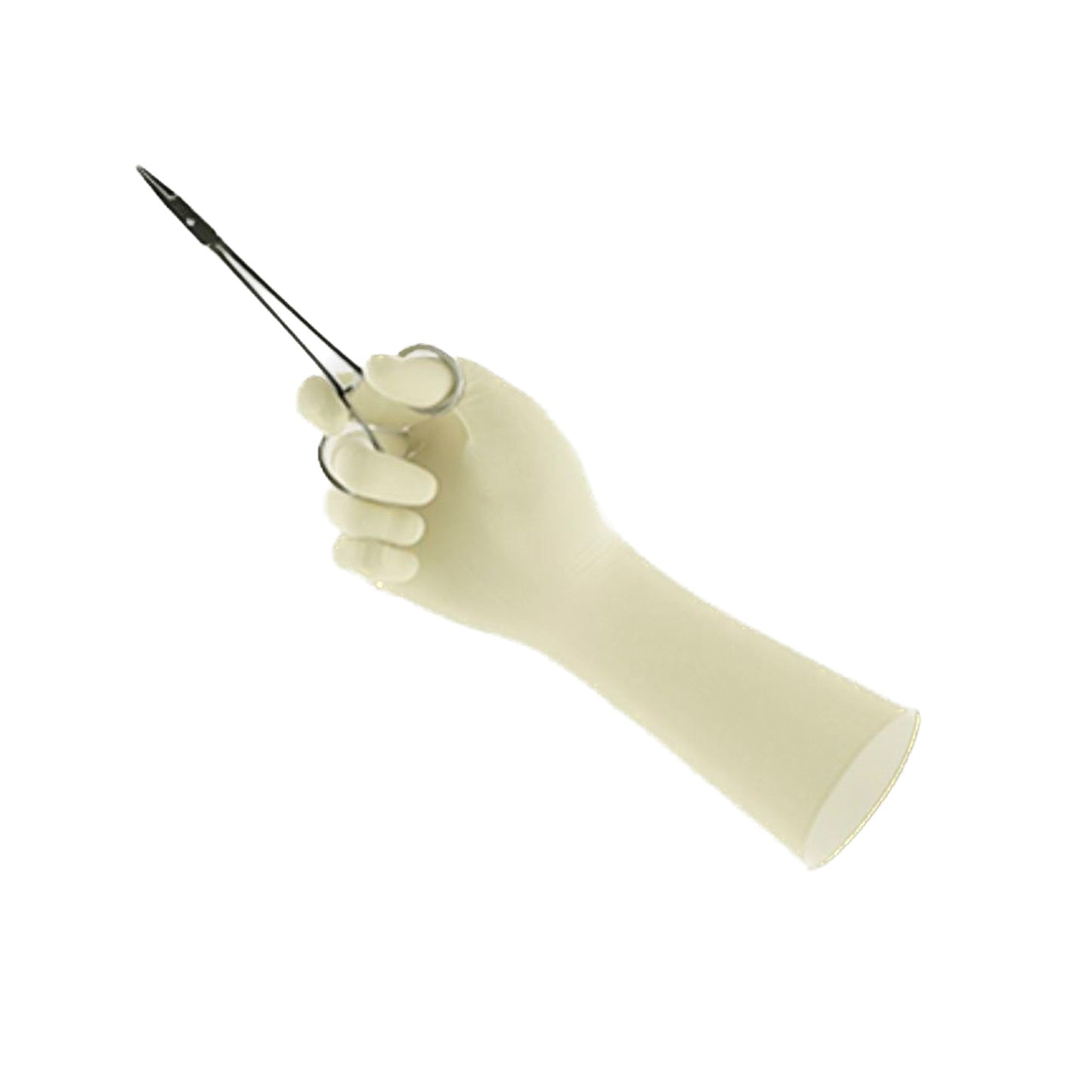 Encore® Perry® Style 42® PF Latex Surgical Glove, Size 6.5, Natural