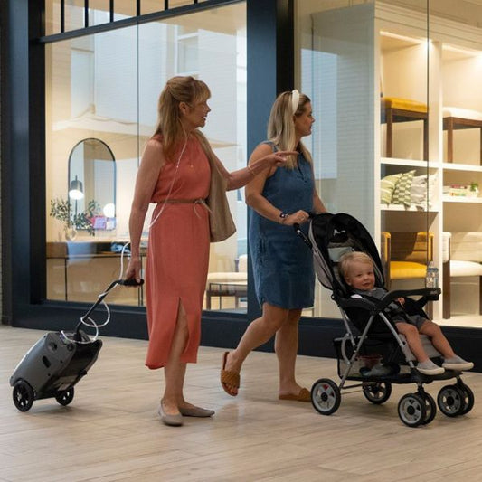 Oxlife Independence Oxygen Concentrator