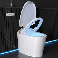 Bidet Toilet Seats