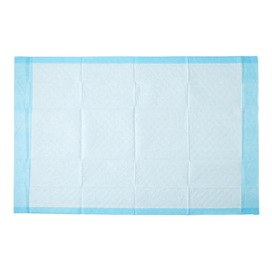 UNDERPAD, FLUFF ECON 23"X36" (25/BG 6BG/CS)