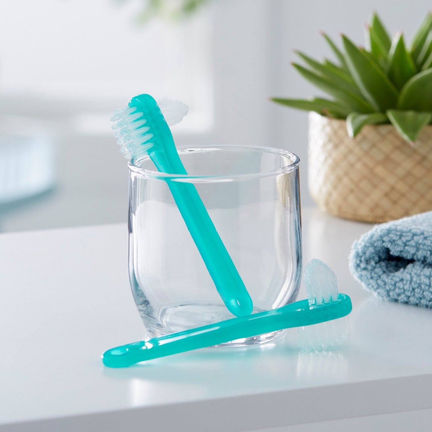 DENTURE BRUSH, LF (144/BX 10BX/CS)