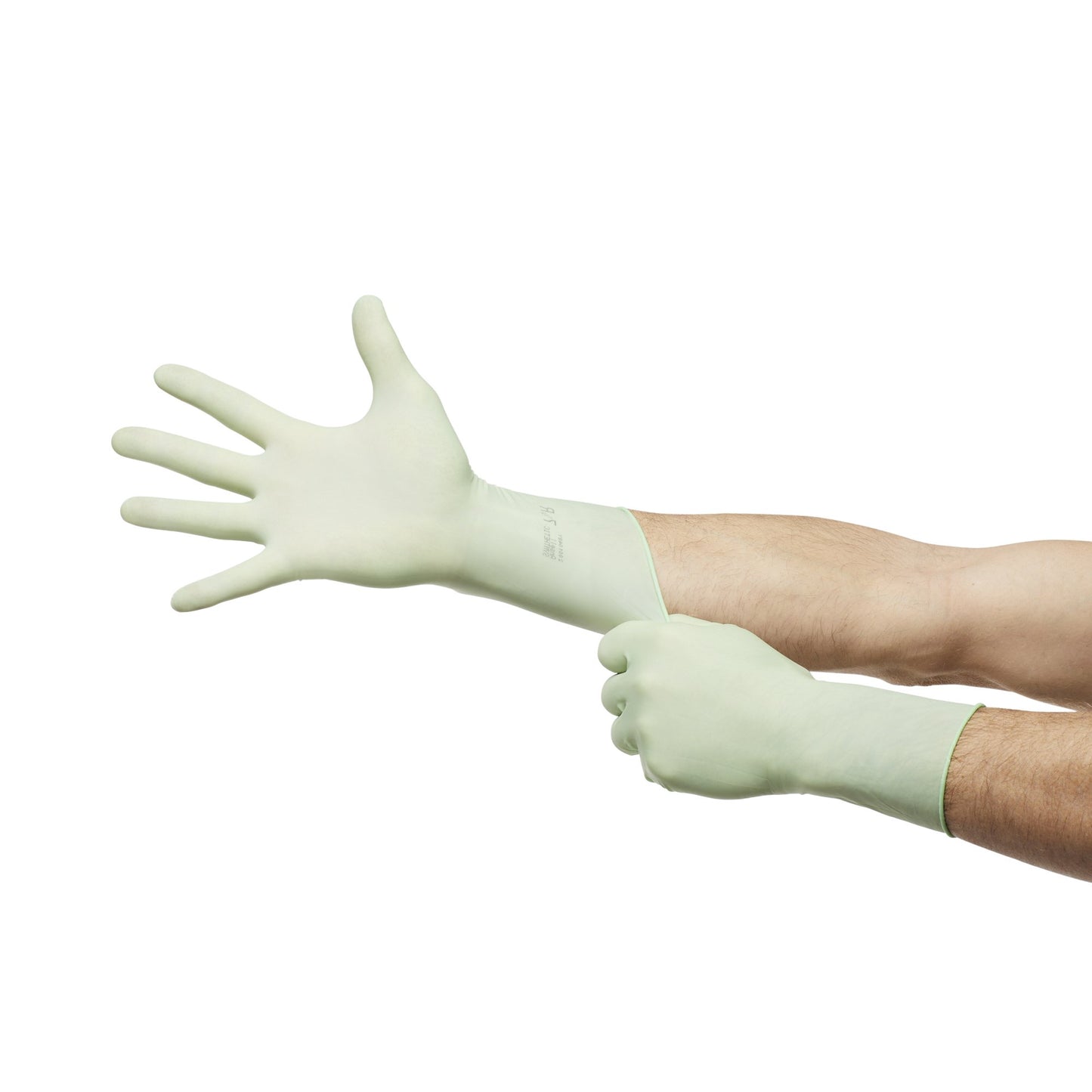 McKesson Perry® Performance Plus Polyisoprene Surgical Glove, Size 8, Green