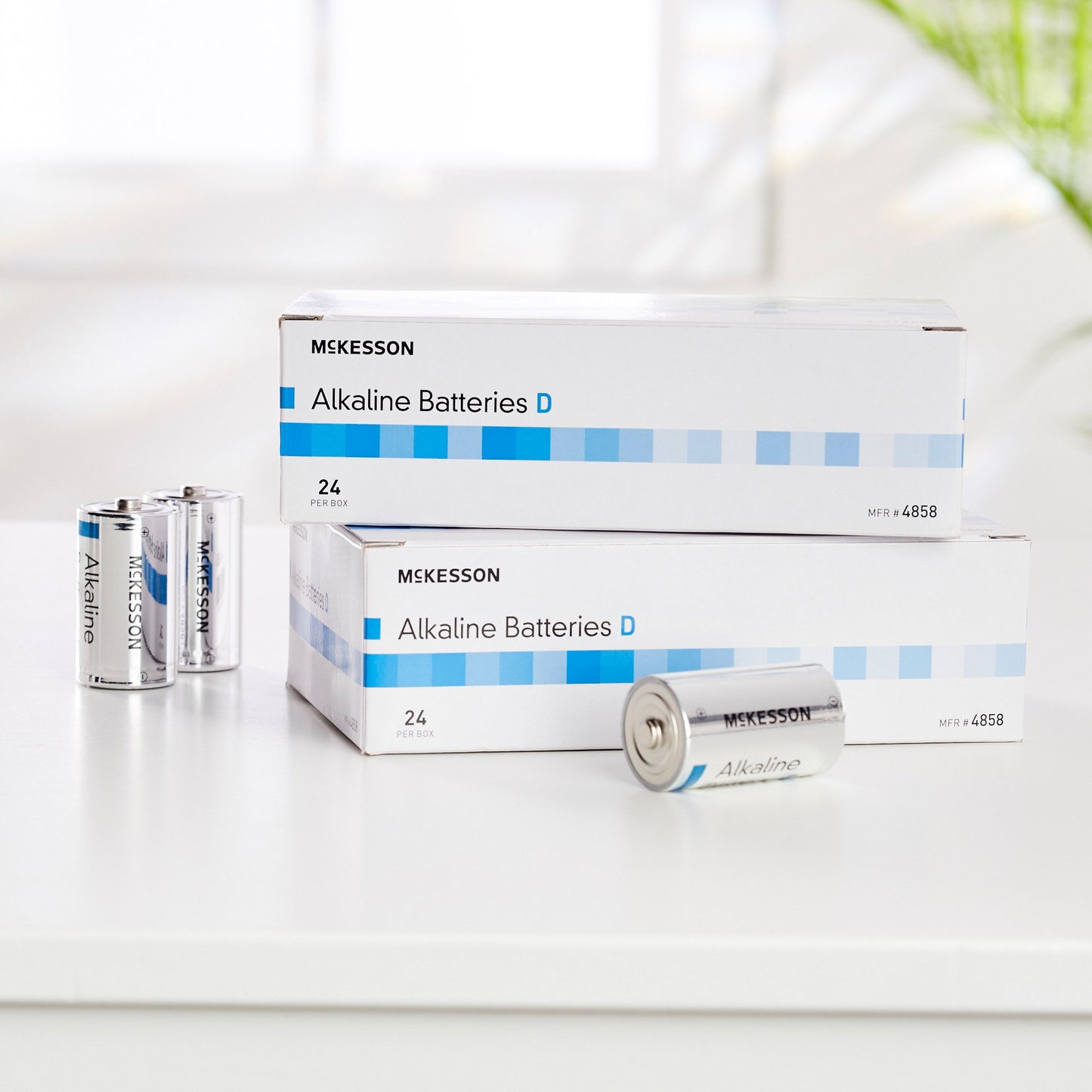 BATTERY, ALK D (24/BX 6BX/CS)