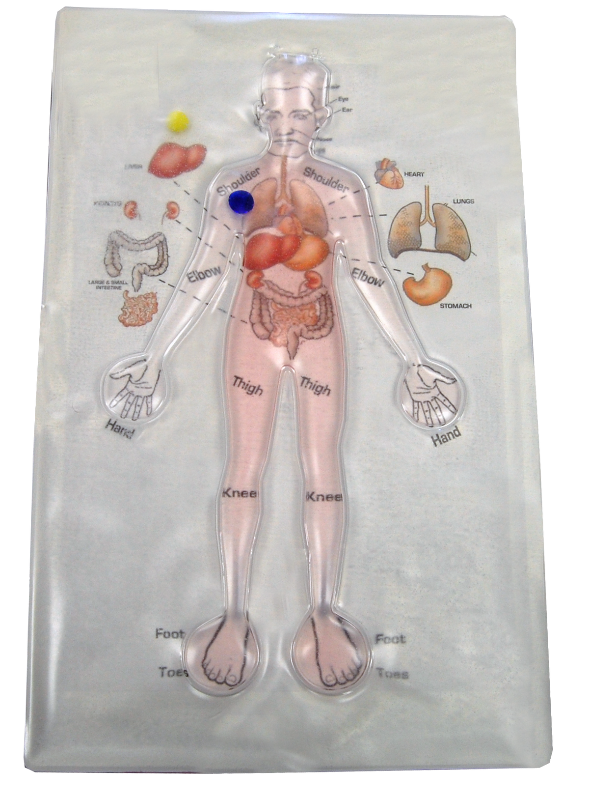 Skil-Care Human Anatomy Gel Pad
