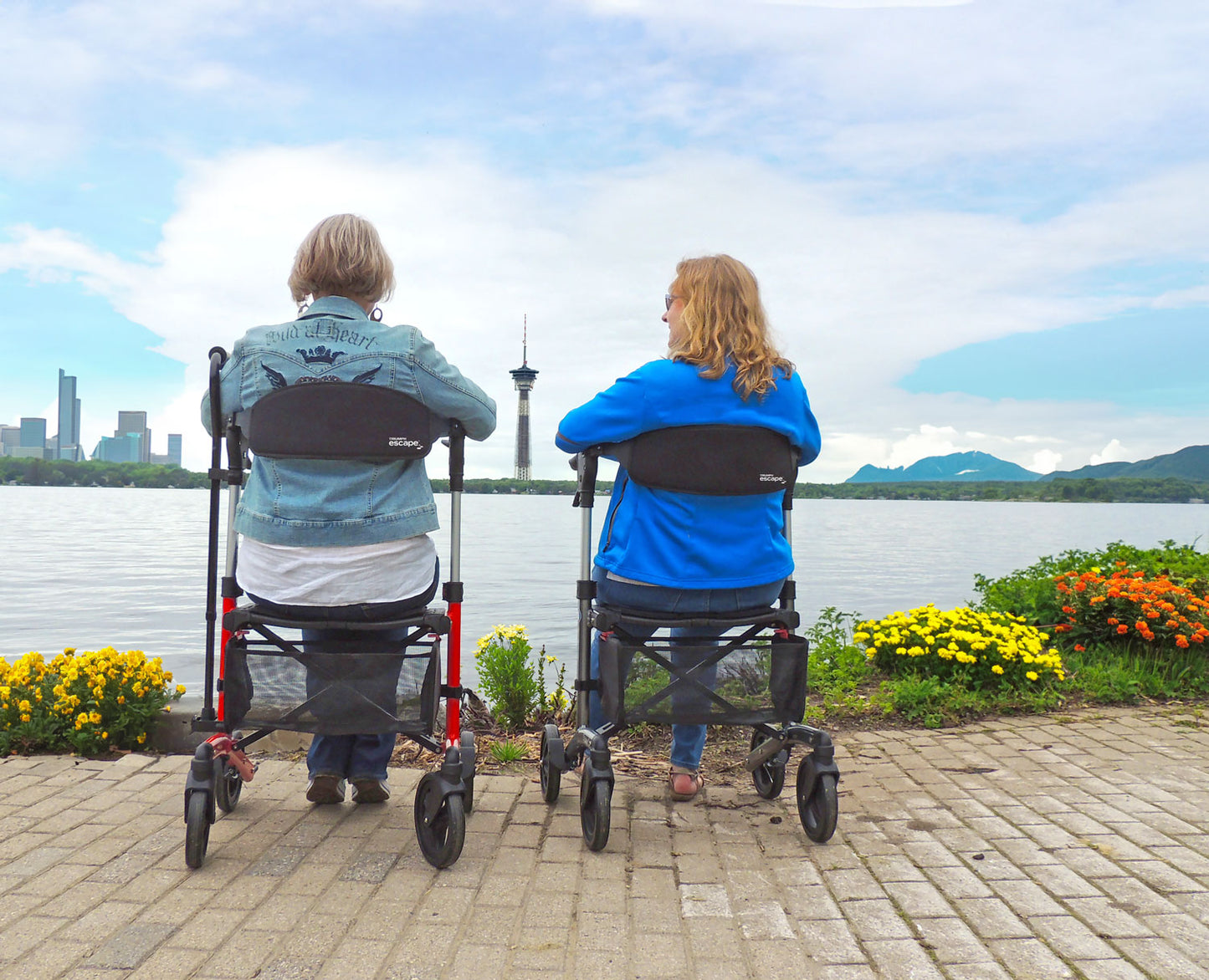 Triumph Escape Rollator Low