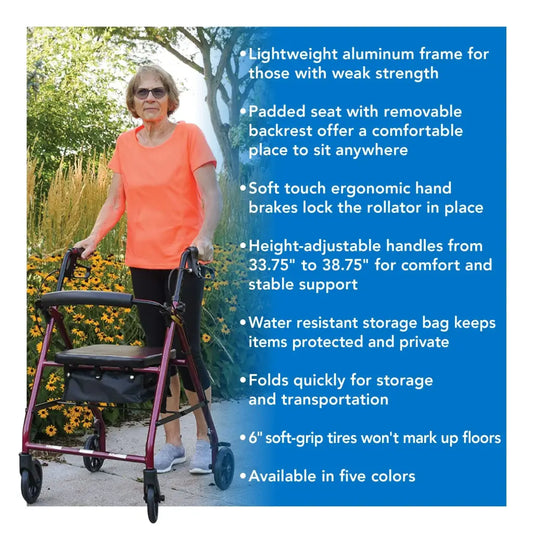 Drive Medical ProBasics Aluminum Rollator with 6" Wheels