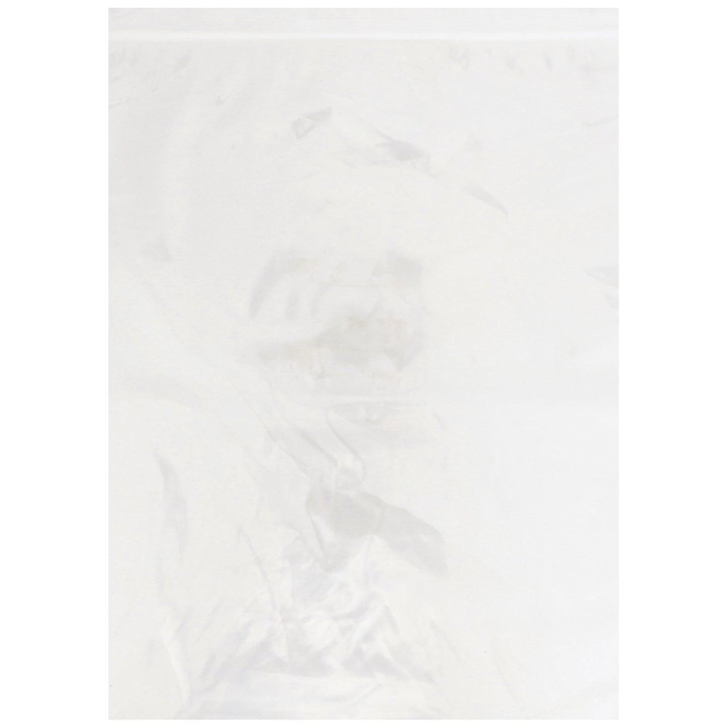 BAG, ZIP LOCK 10X13 (100/BX 10BX/CS)