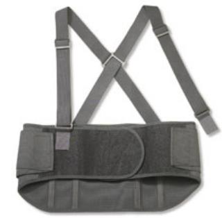 ProFlex® Standard Back Support, Large